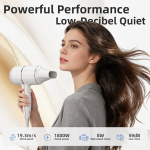 SG-01 Lightweight Fast Drying Household Hair Dryer