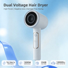 HP-304 High Wind Power Dual Voltage Hair Dryer