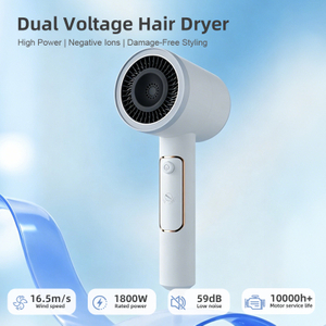 HP-304 High Wind Power Dual Voltage Hair Dryer
