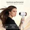 SG-03E Wall Mounted Negative Ion Hair Dryer for Hotels & Homes