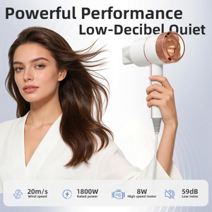 SG-03 High Wind Power Negative Ion Home Hair Dryer