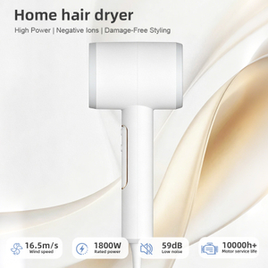 HP-305 Household High Wind Power Hair Dryer