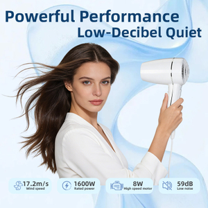 C187 Portable Hair Dryer Negative Ion Fast Dryer