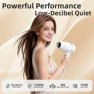 SG-02 Household Negative Ion Hair Dryer