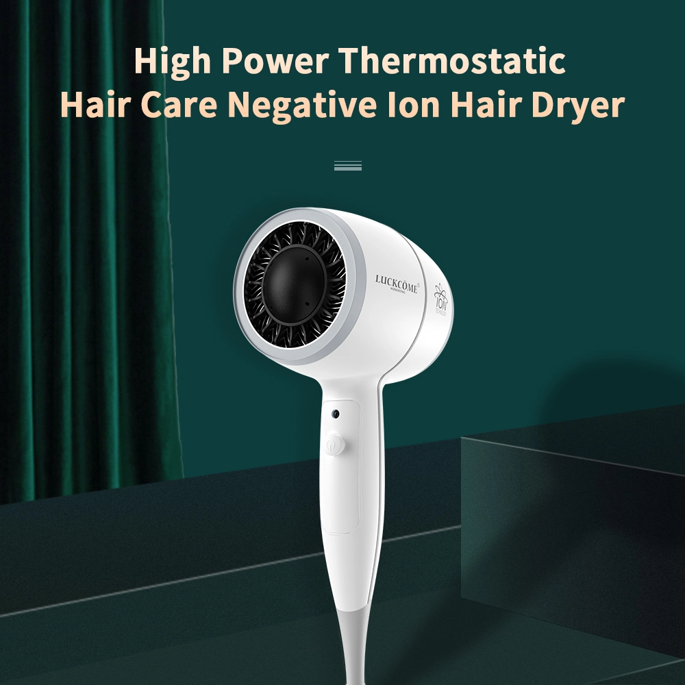 HUIPU high power negative ion hair dryer for salon hotel and private label use.webp