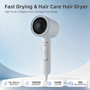 HP-303 Quick Dry Negative Ion Blow Dryer