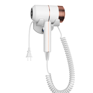 SG-03D Wall Mounted Negative Ion Hair Dryer for Hotel Use