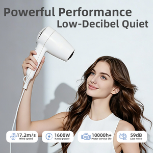 C190 10 Million Negative Ion Portable Salon Hair Dryer