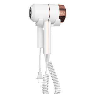 SG-03C Wall Mounted Negative Ion Hair Dryer