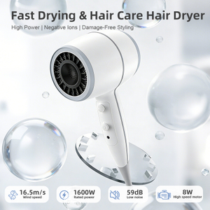 SG-06A Household Negative Ion Hair Dryer