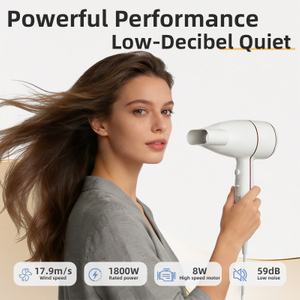 SG-05 Household Compact Hair Dryer High Wind Power