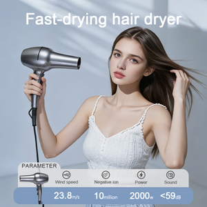WT-8600 Professional Hair Dryer