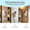 China RCY-67220-2 Wall Mounted Negative Ion Hair Dryer