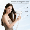 RCY-67588D Wall Mounted Negative Ion Hair Dryer for Hotel Use