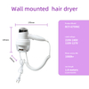 RCY-67599C Wall-Mounted Hair Dryer for Homestay