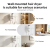 WT-6400 Commercial Wall Mounted Hair Dryer With Negative Ion For Hotel Homestay