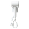 RCY-303 Wall Mounted Negative Ion Hair Dryer for Hotels