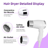 1600W C160 Portable Ionic Hair Dryer