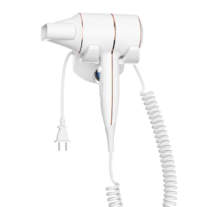 SG-01D Wall-Mounted High Power Negative Ion Hair Dryer
