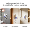 RCY-67290 Wall Mounted Negative Ion Hair Dryer