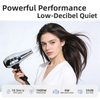 RCY-1400 Professional Portable Salon Hair Dryer