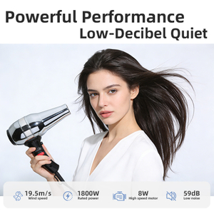 RCY-1400 Professional Portable Salon Hair Dryer