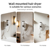RCY-67220 Wall Mounted Negative Ion Hair Dryer for Hotel Use