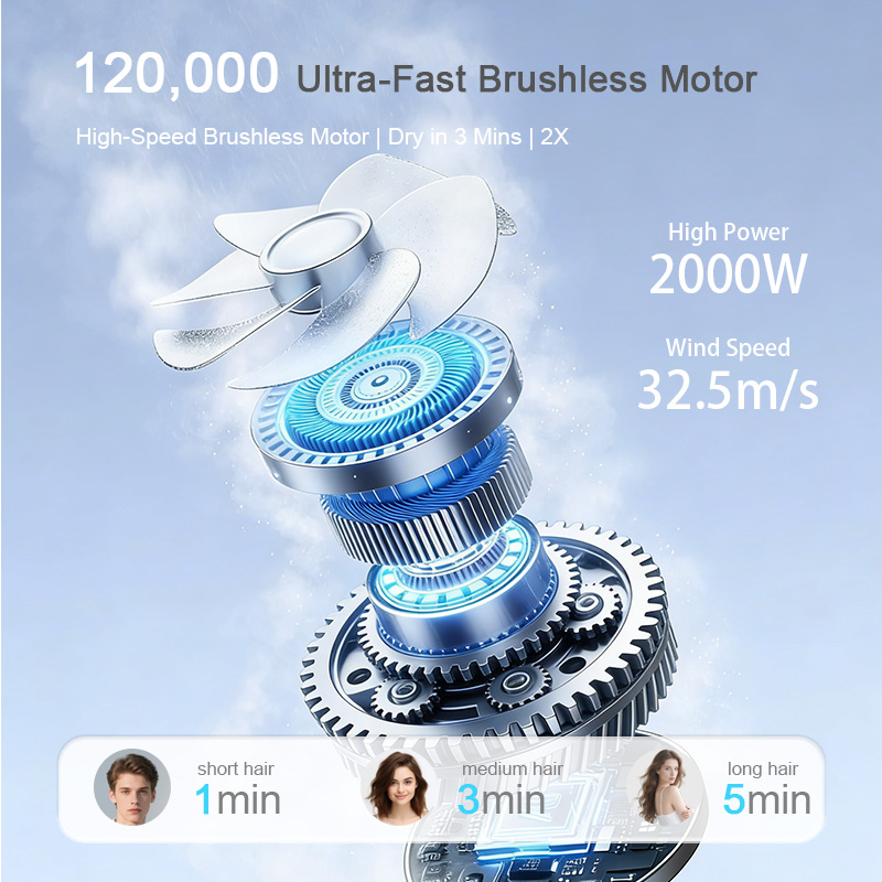 WT-1201.02.jpg