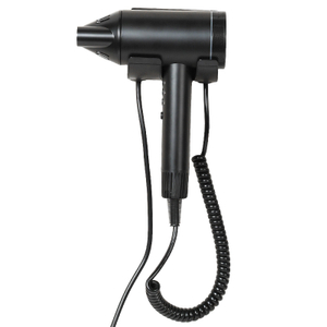 China WT-1201B Wall Mounted Negative Ion Hair Dryer