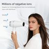 WT-8220 Hotel Dedicated Wall-Mounted Hair Dryer
