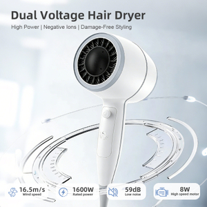 SG-06C Dual Voltage High Wind Power Hair Dryer