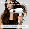1600W C160 Portable Ionic Hair Dryer