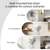 RCY-67250N Wall Mounted Hair Dryer