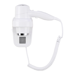 RCY-67588G Wall Mounted Hair Dryer