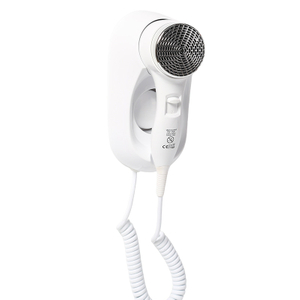 China RCY-67220-2 Wall Mounted Negative Ion Hair Dryer