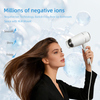 D138 Hotel-Specific Wall-Mounted Negative Ion Hair Dryer