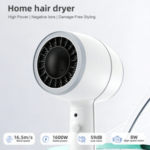 SG-06D High Wind Power Negative Ion Hair Dryer