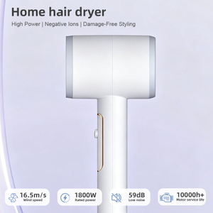 HP-301 Household Fast-Drying Negative Ion Hair Dryer