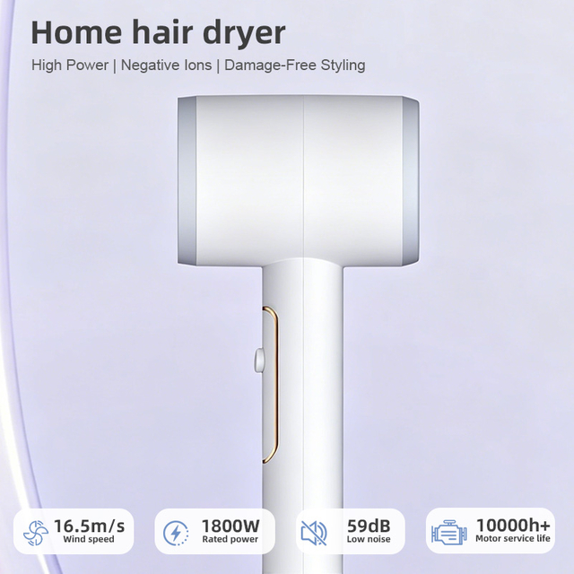 HP-301 Household Fast-Drying Negative Ion Hair Dryer