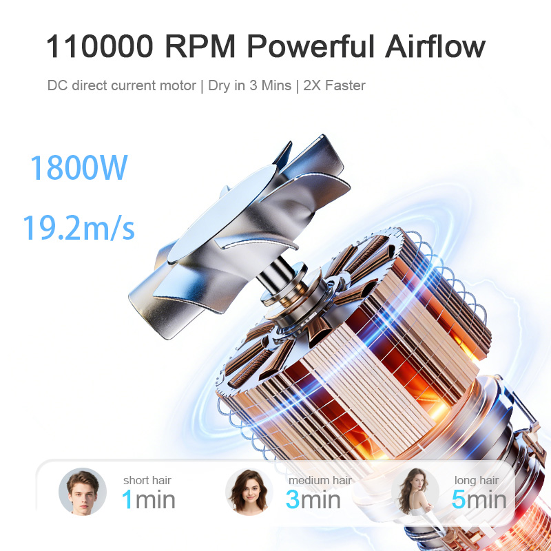WT-1200.02.jpg
