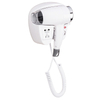 RCY-67490 Wall Mounted Negative Ion Hair Dryer for Hotels