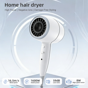 SG-06E Household Negative Ion Hair Dryer
