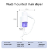 RCY-67290 Wall Mounted Negative Ion Hair Dryer
