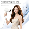 RCY-67588G Wall Mounted Hair Dryer