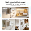 RCY-67300C Wall Mounted Negative Ion Hair Dryer for Hotel Use