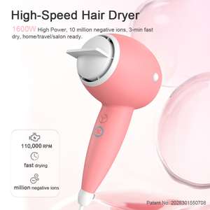 1808-1 compact mini high speed ionic hair dryer