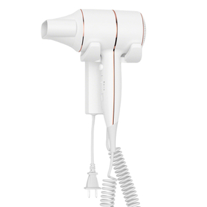 SG-01E Wall-Mounted Hair Dryer for Hotel & Homestay