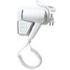 RCY-67250N Wall Mounted Hair Dryer