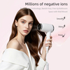RCY-67588F Hotel Dedicated Wall-Mounted Hair Dryer