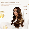 RCY-67600B Wall Mounted Negative Ion Hair Dryer | Hotel Bathroom